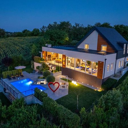 Riverside Pool Villa-Sremski Karlovci Exterior photo